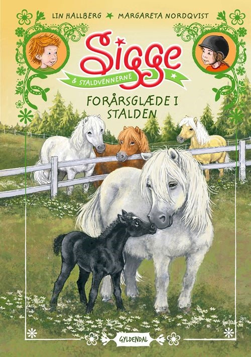 Forside billede